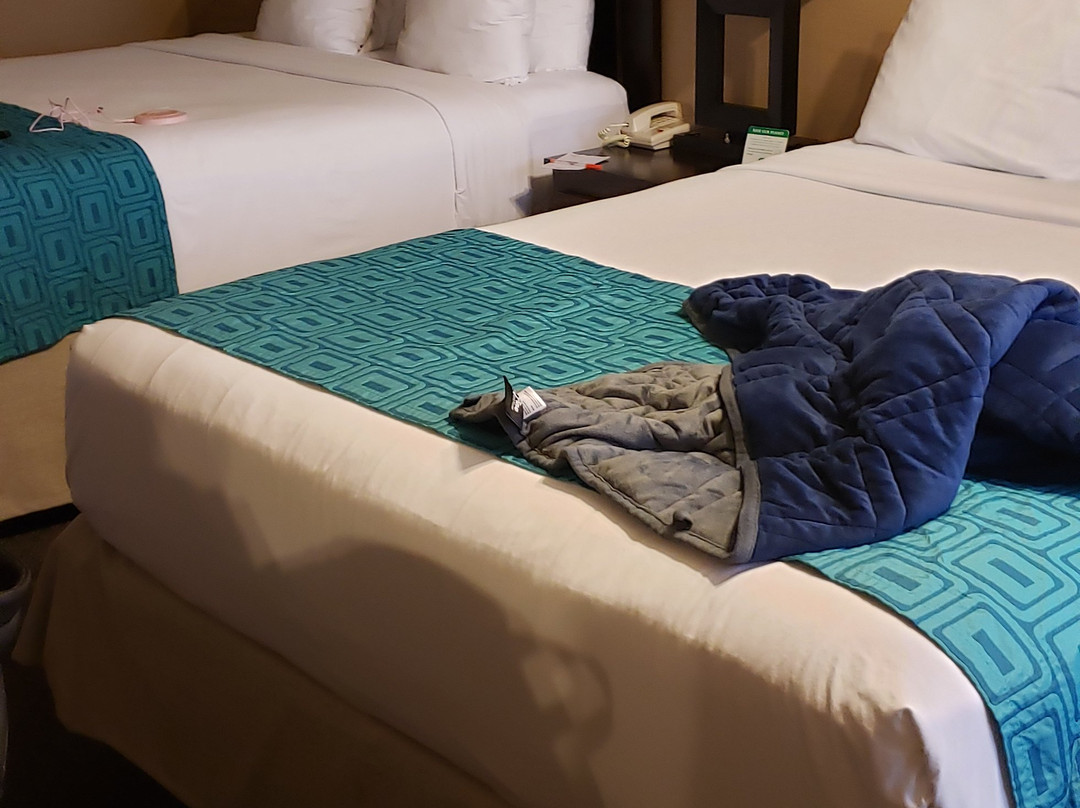 托伦斯豪生酒店主图