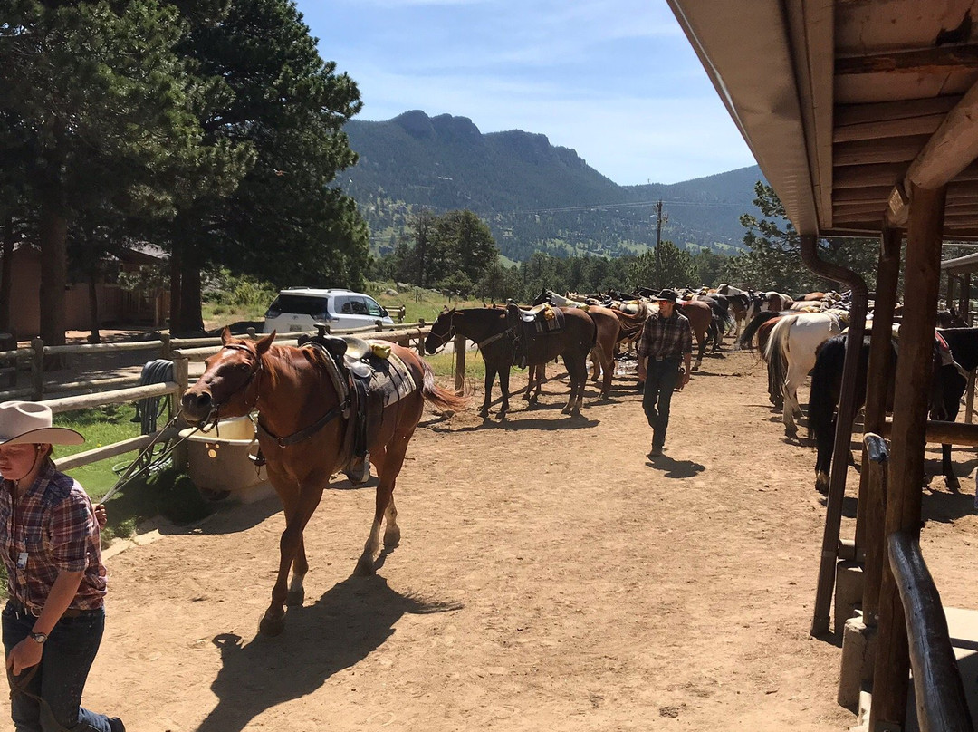 Jackson Stables-埃斯蒂斯公园必去景点
