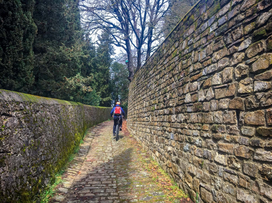 Inspiring Tuscany Tours-佛罗伦萨必去景点