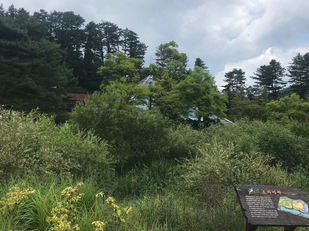 Korea National Arboretum-抱川市必去景点