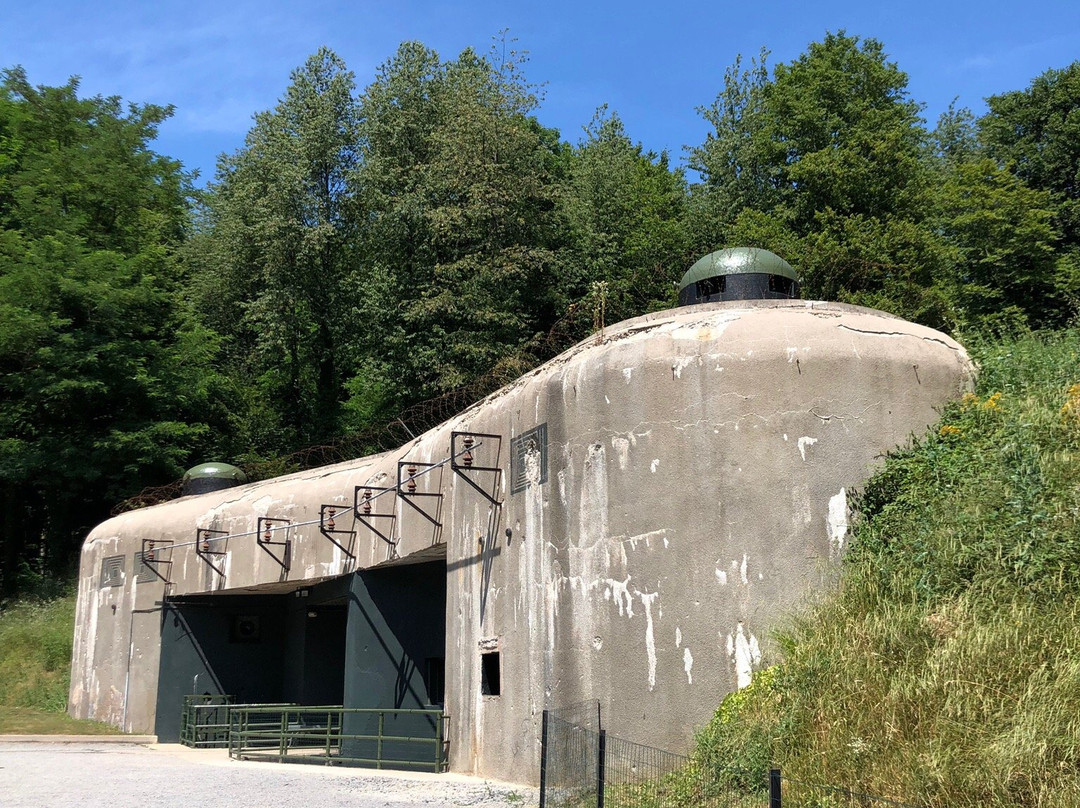 Maginot Line Fort Schoenenbourg景点图片