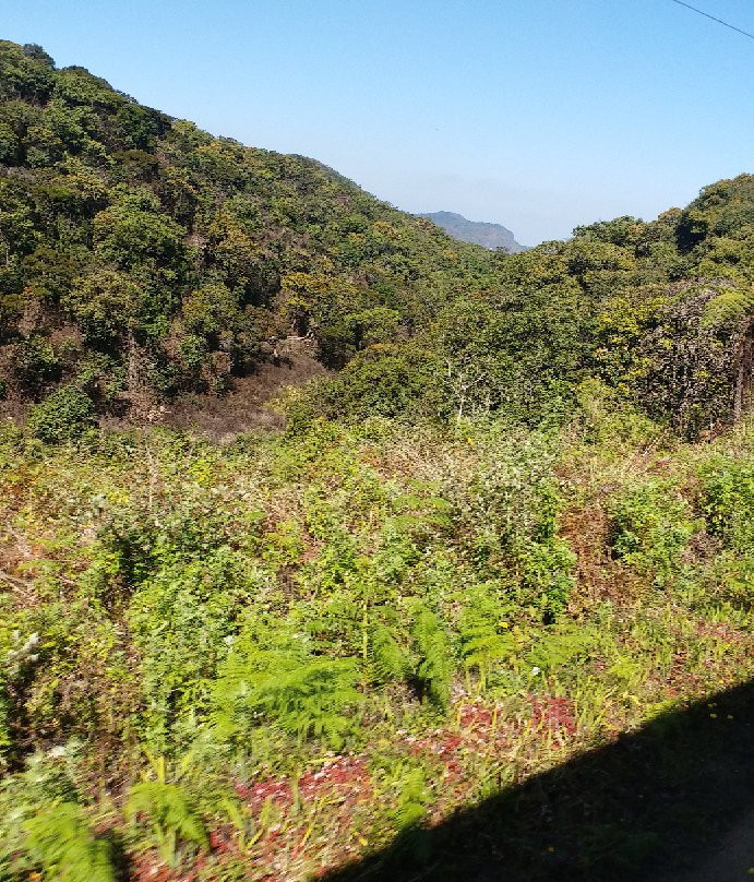 Hiking Bambarakanda to Horton Plains-Ohiya必去景点