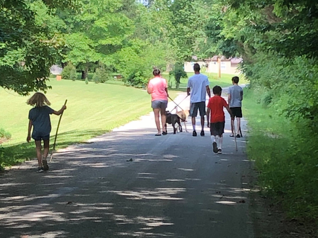 White Oaks Cabins主图