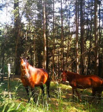 Croce di Magara旅游攻略图片