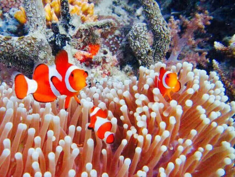 美娜多之旅酒店主图