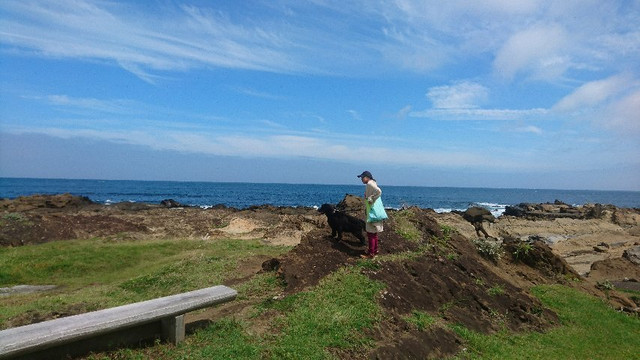 Cape Nojima-南房总市必去景点