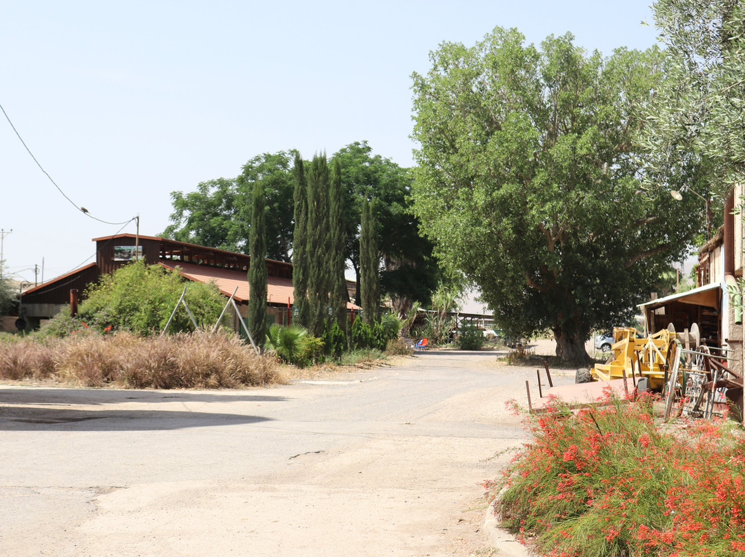 Kibbutz Degania Alef景点图片