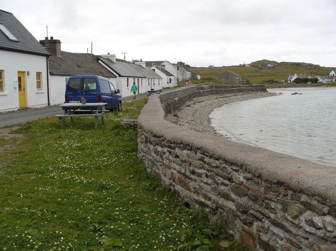 Dolphin Hotel Inishbofin主图