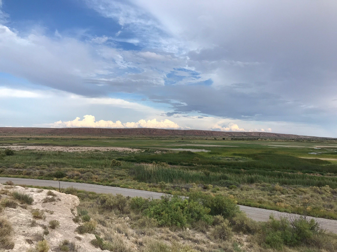 Bitter Lake National Wildlife Refuge-罗斯威尔必去景点