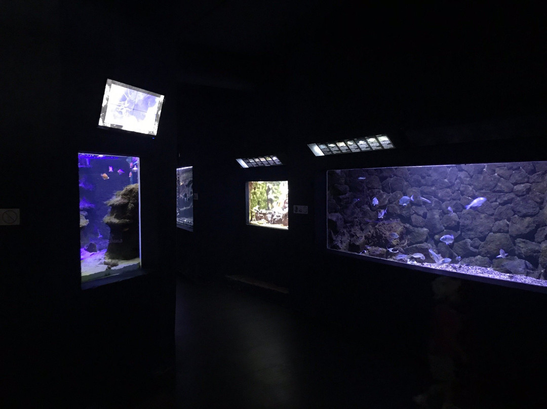 Aquarium du Cap d'Agde景点图片