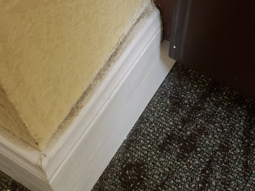 Staybridge Suites San Antonio Sea World by IHG主图