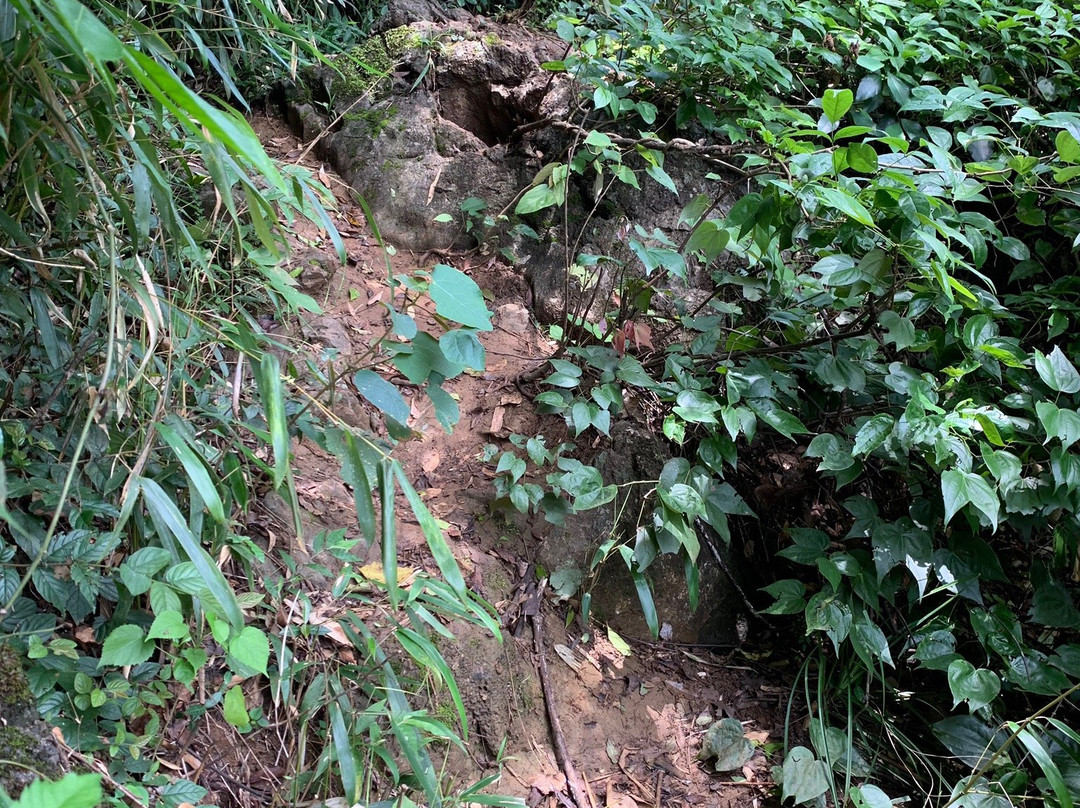 碧莲峰-阳朔县必去景点
