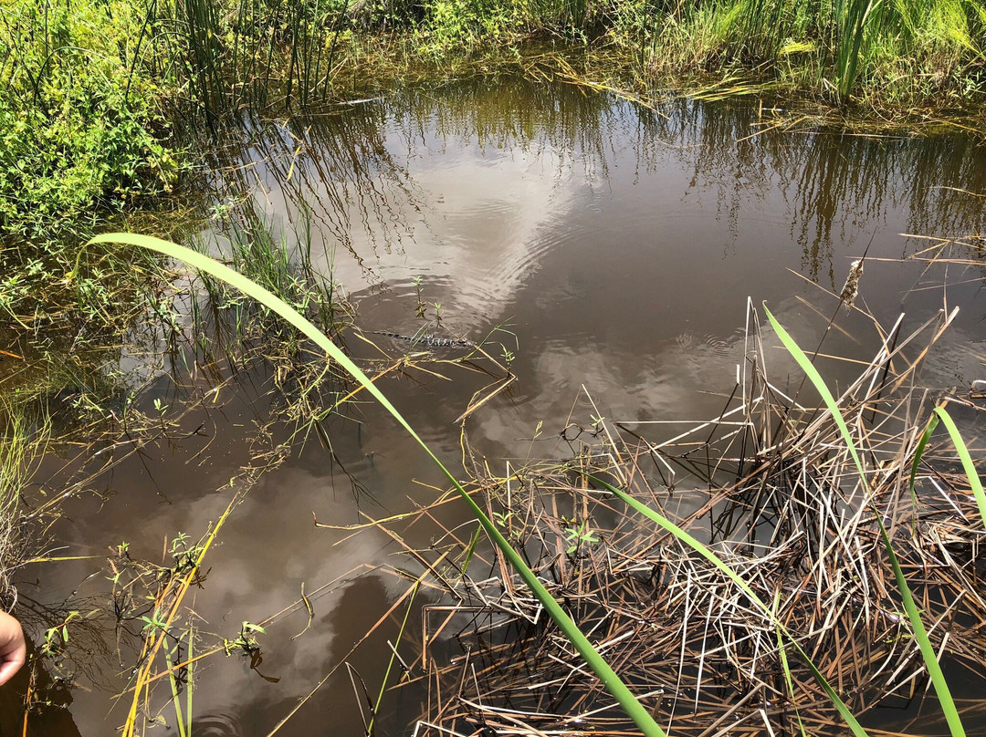 Sea Center Texas-Lake Jackson必去景点