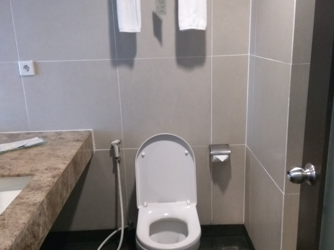 Hotel Santika Banyuwangi主图