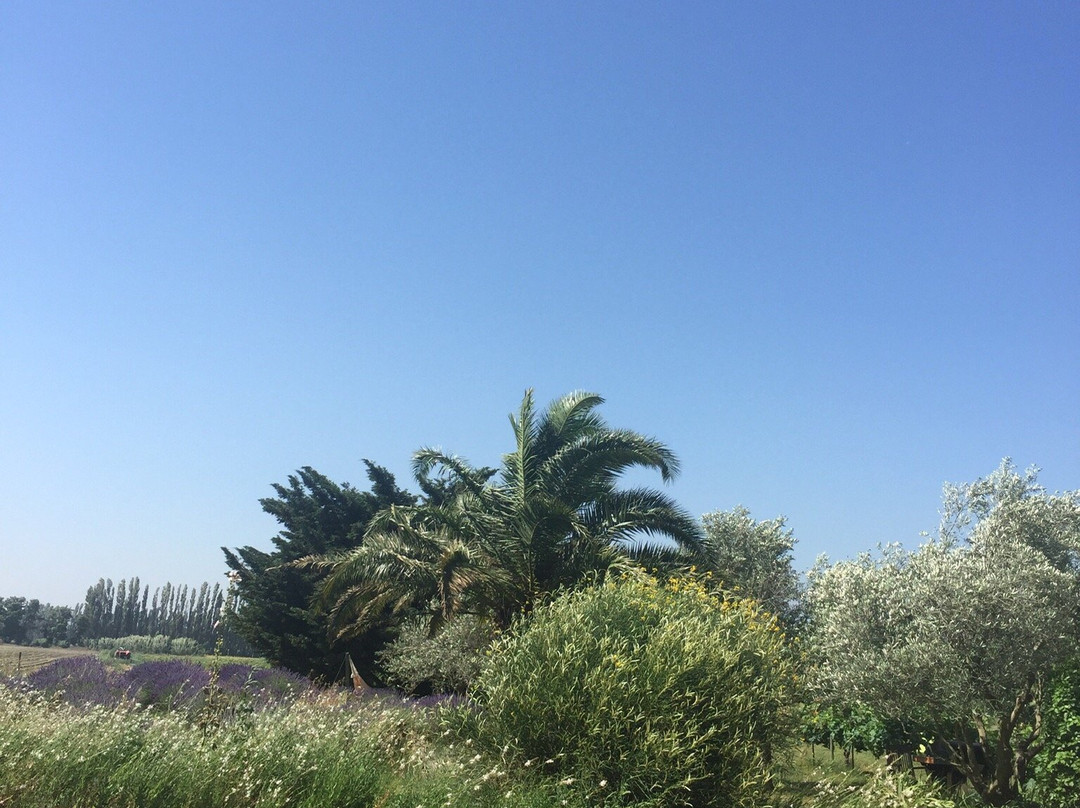 La Clé d'Ailleurs主图