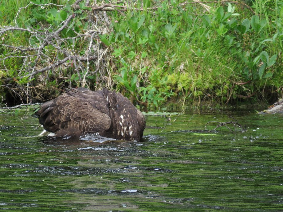 Escape For Two主图