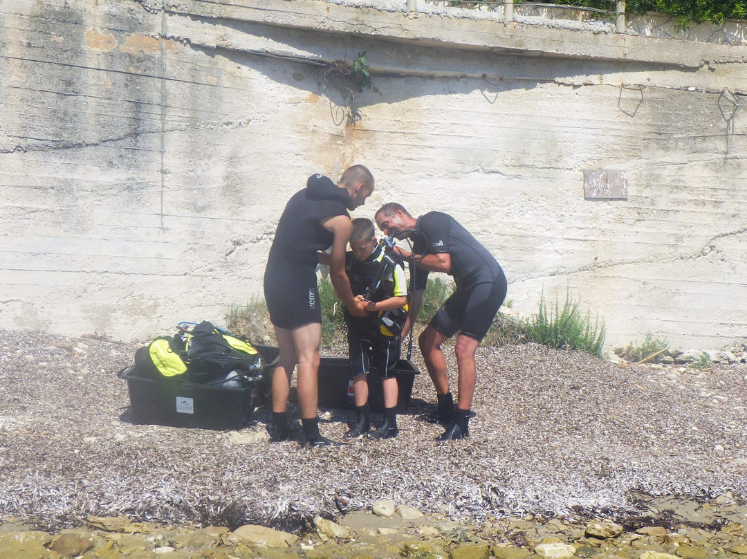 Reef Freediving Snorkeling Club景点图片