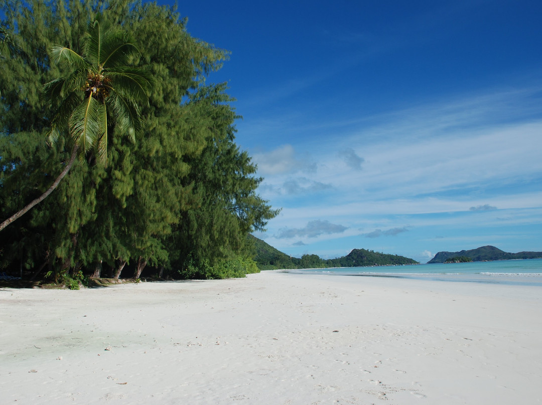 科多尔沁蓝俱乐部酒店主图