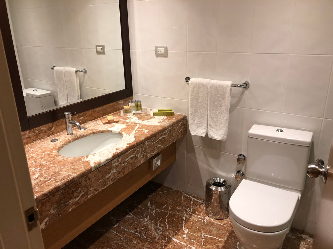 梅尔辛希尔顿酒店主图