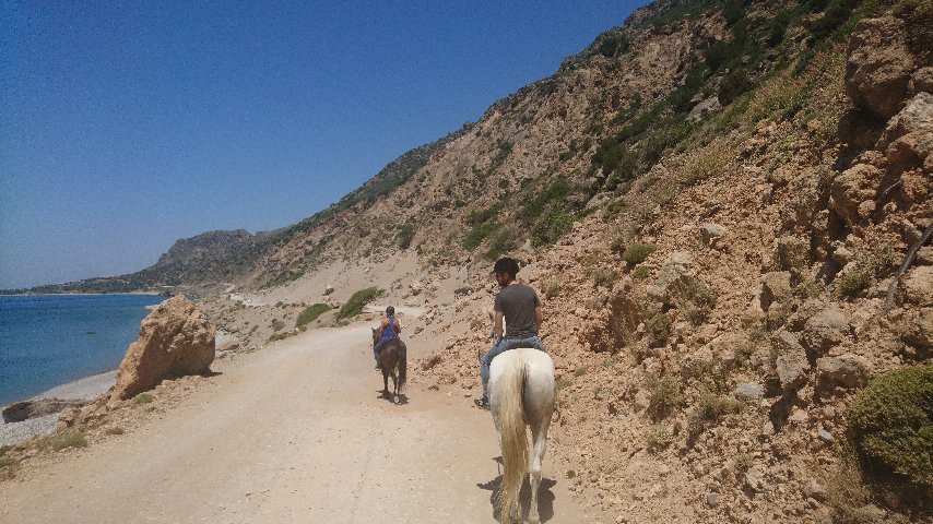 Horses Paleochora景点图片