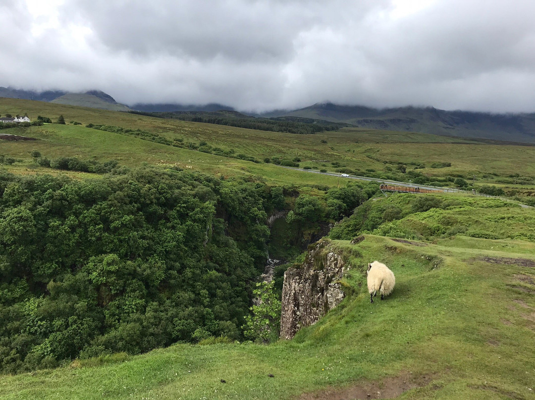 Highland Explorer Tours景点图片