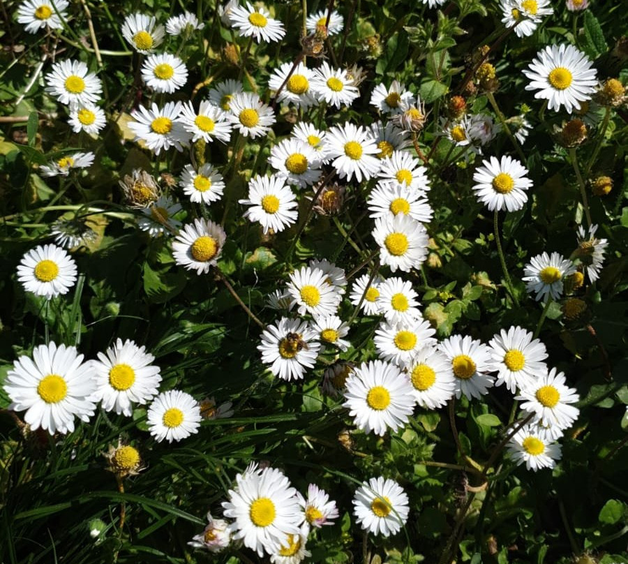 B&B Casale Coreallo主图