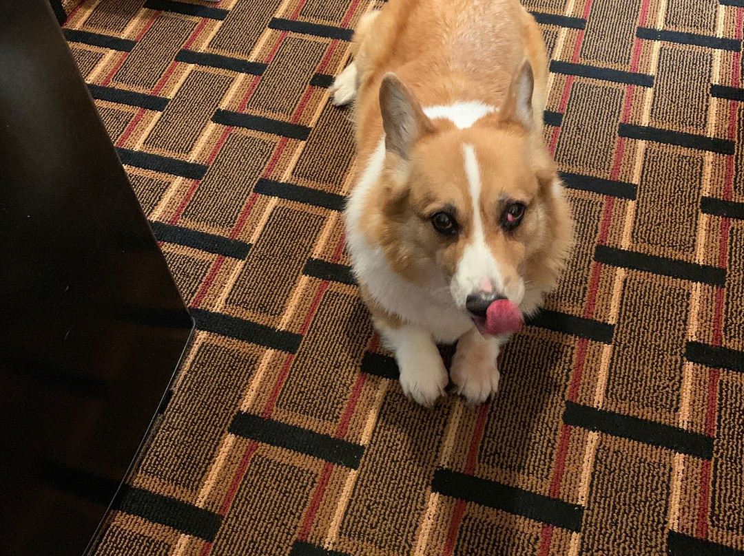 Howard Johnson by Wyndham Beckley主图