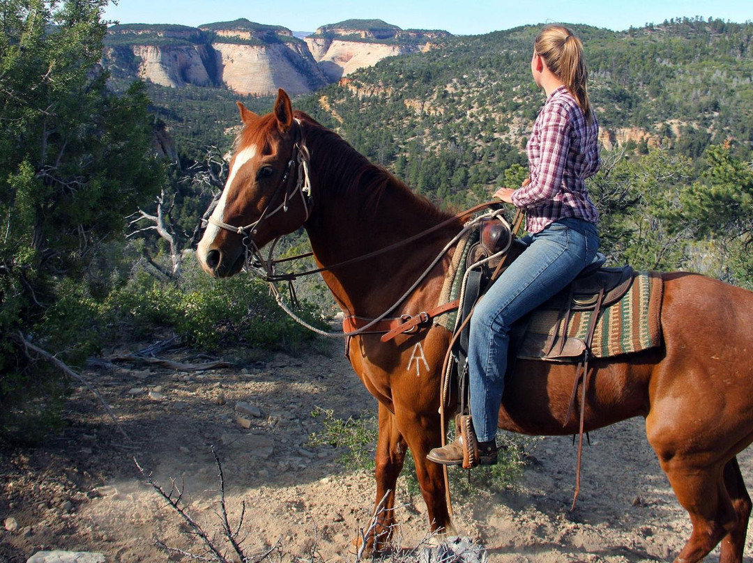 East Zion Adventures-Orderville必去景点
