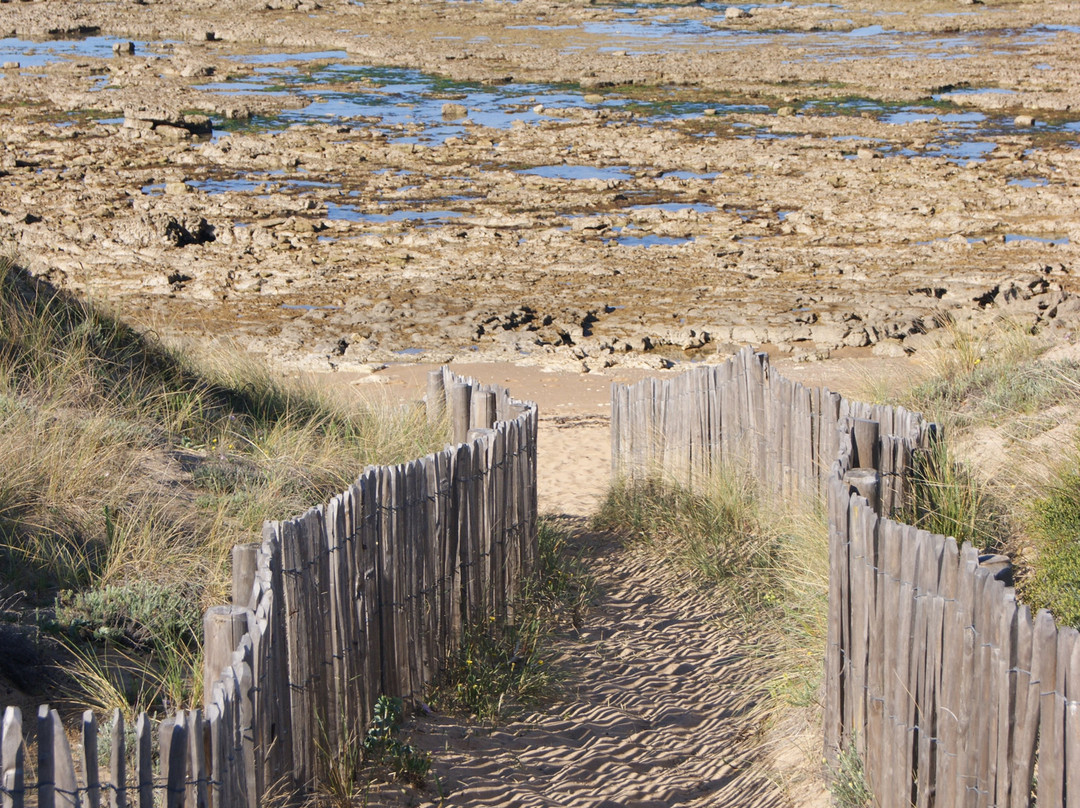 Hôtel Île De Lumière主图