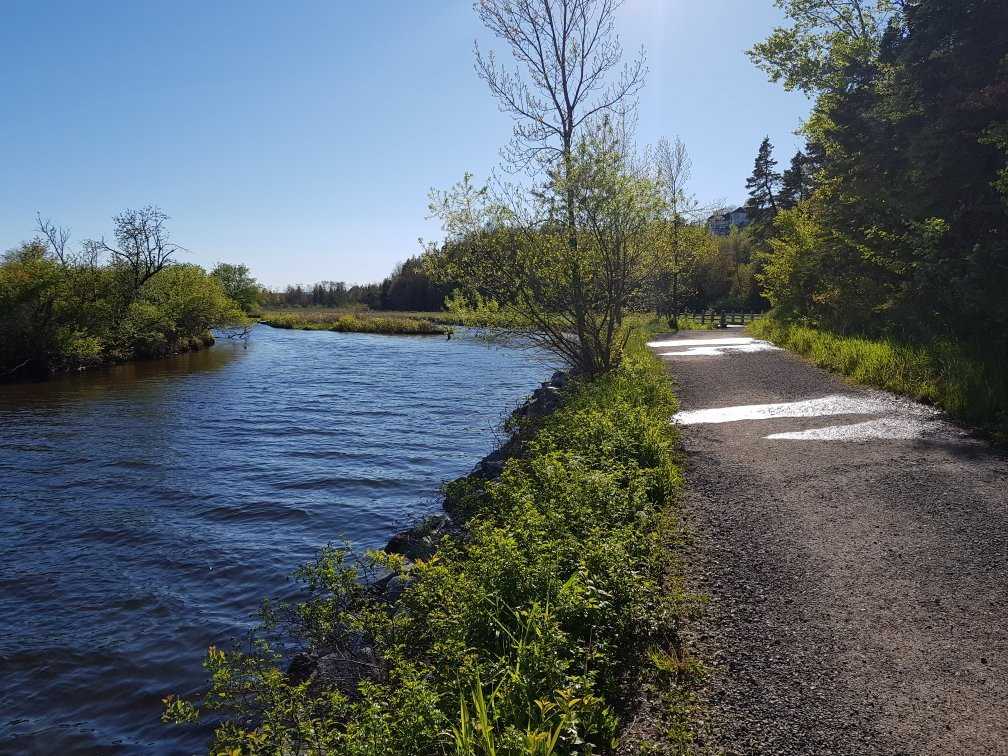 Antigonish Landing Trail-安蒂岗尼希必去景点