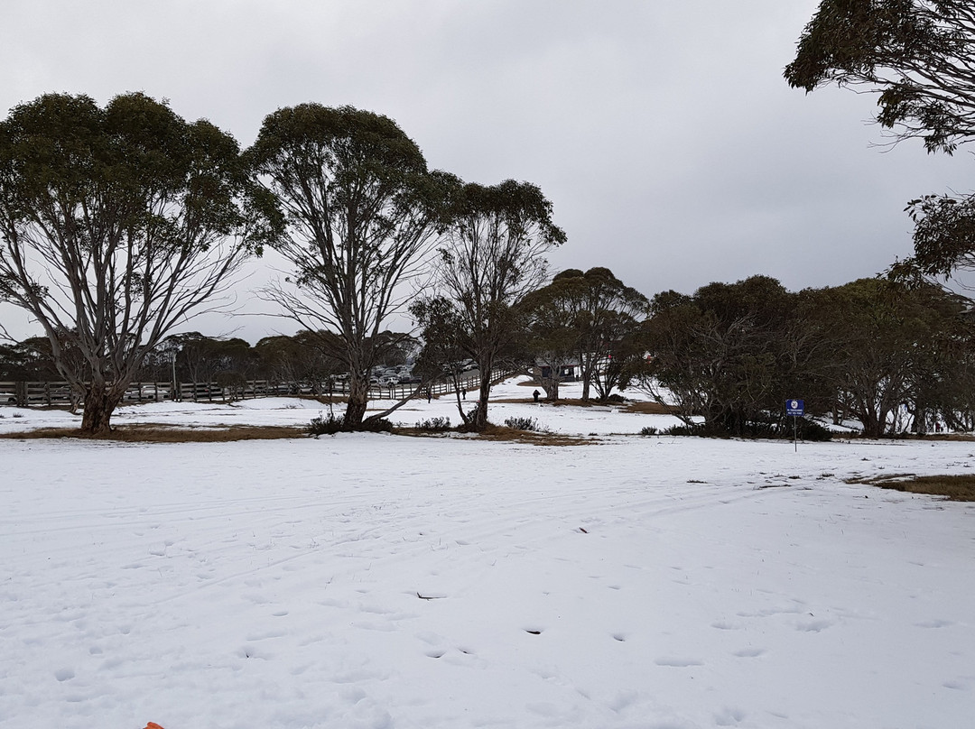 Selwyn Snow Resort-Cooma必去景点