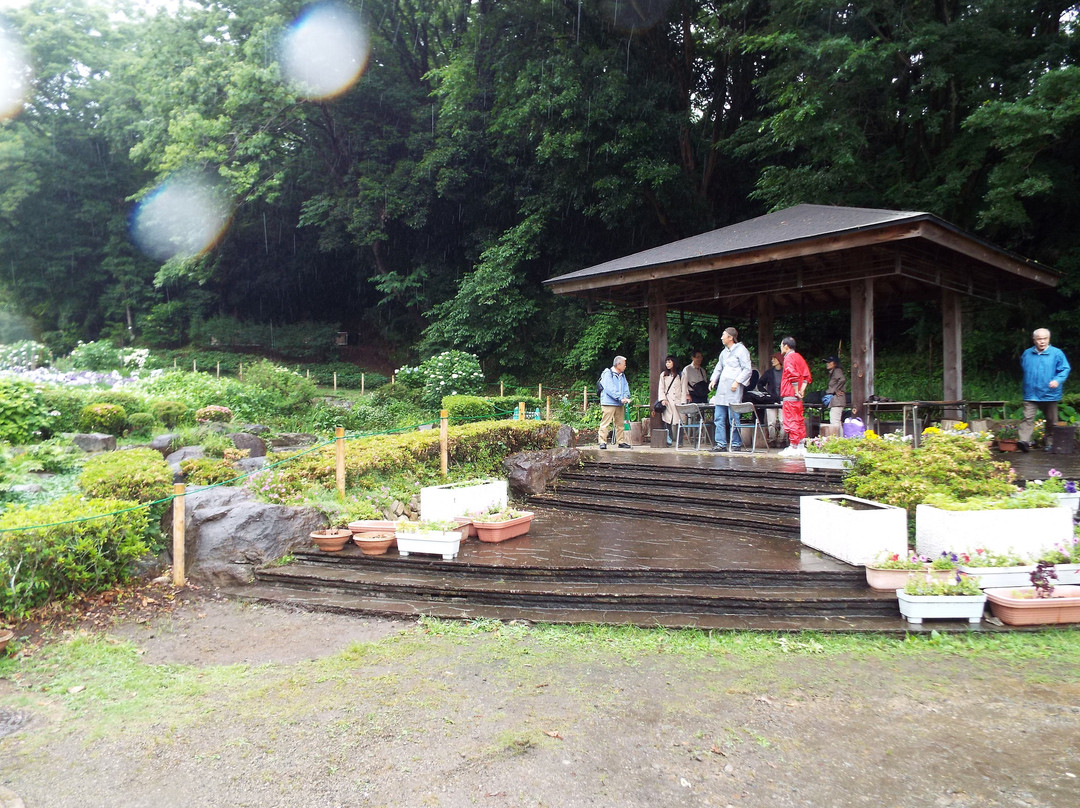 Ninomiya Seseragi Park-二宫町必去景点