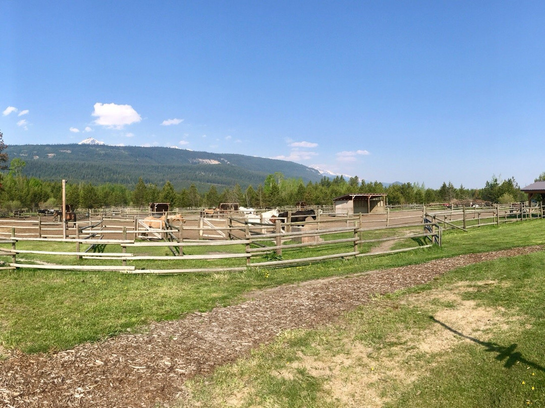 Willow Ranch-维尔蒙特必去景点