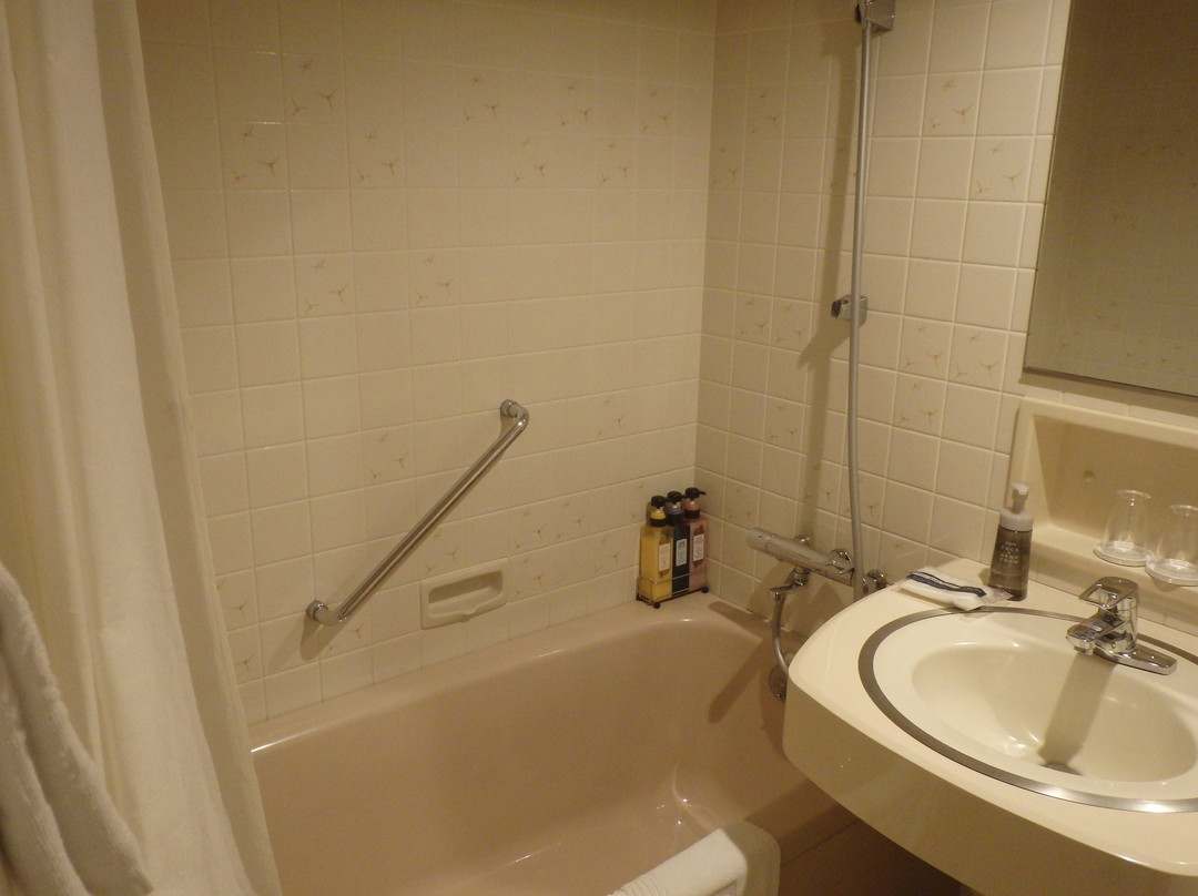 高知新阪急皇冠酒店主图