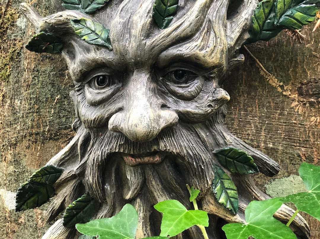 Woodville Walled Garden景点图片