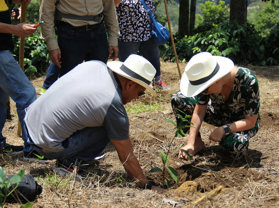 Hacienda La Sierra主图