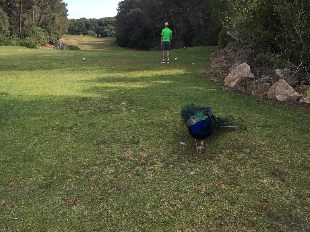 Golf Son Parc Menorca-Son Parc必去景点