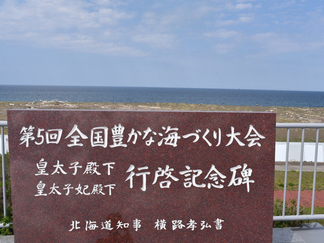 Ryugudai Panoramic Park景点图片