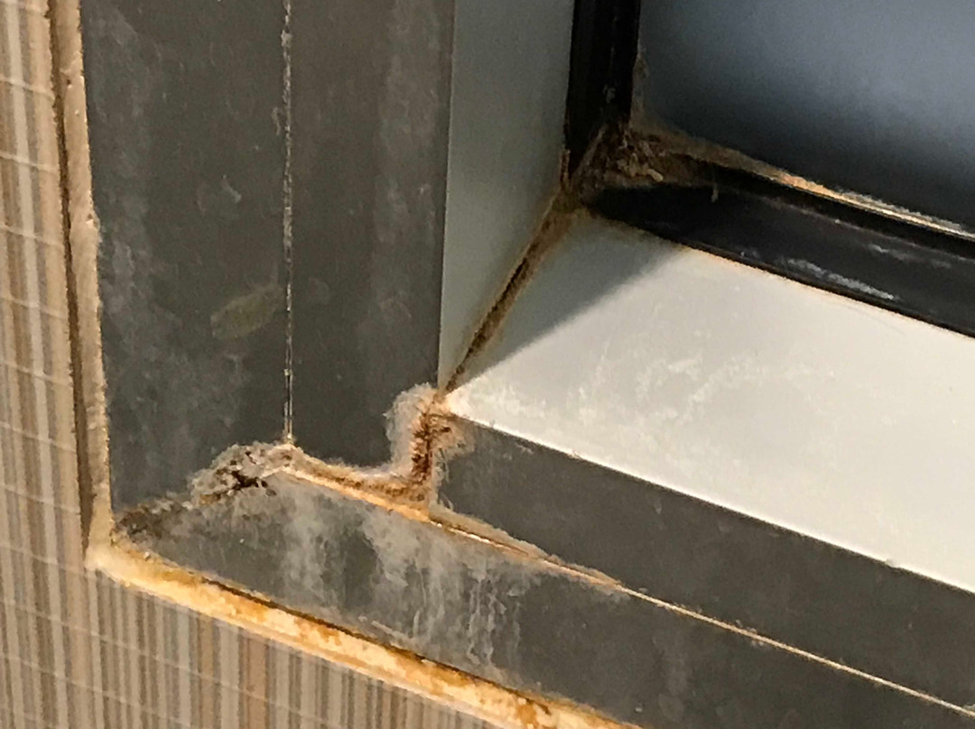 La Quinta Inn & Suites by Wyndham Winchester主图