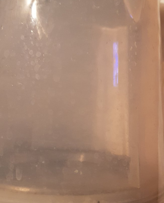 The White House Motel主图