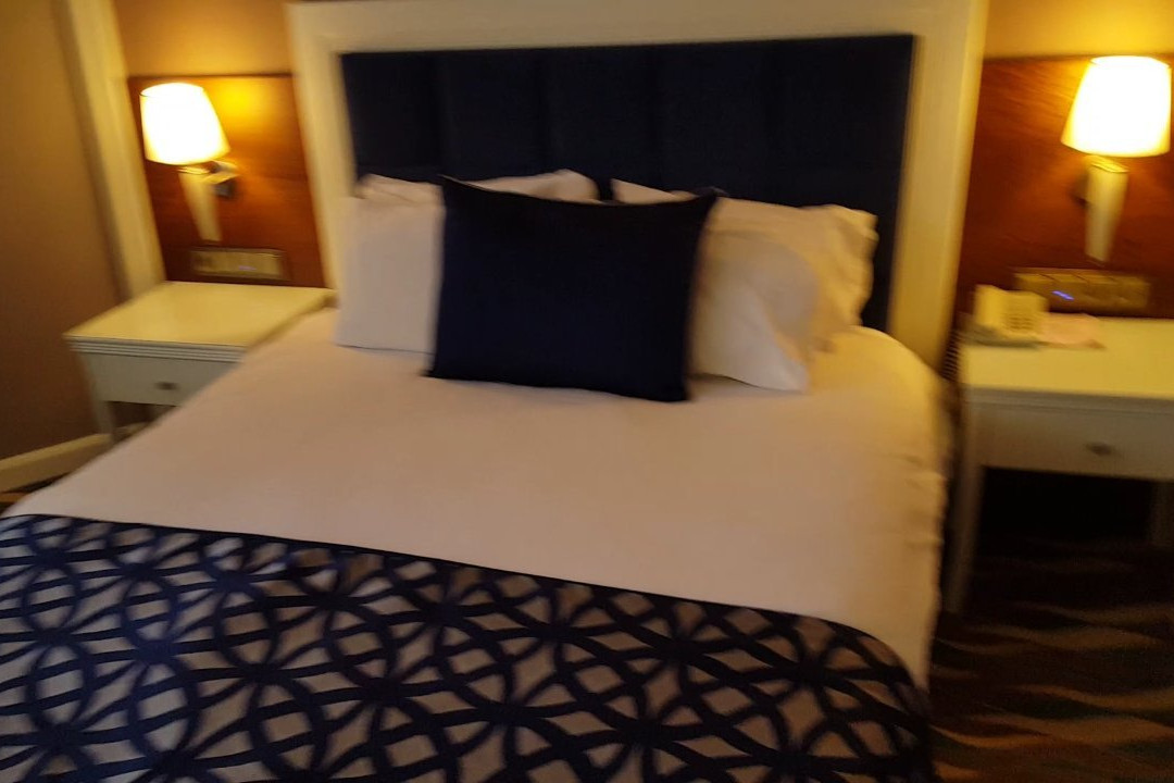 Sivas Buyuk Hotel主图