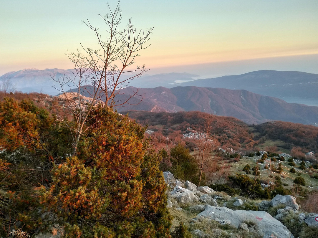 Herceg Novi Hinterland景点图片
