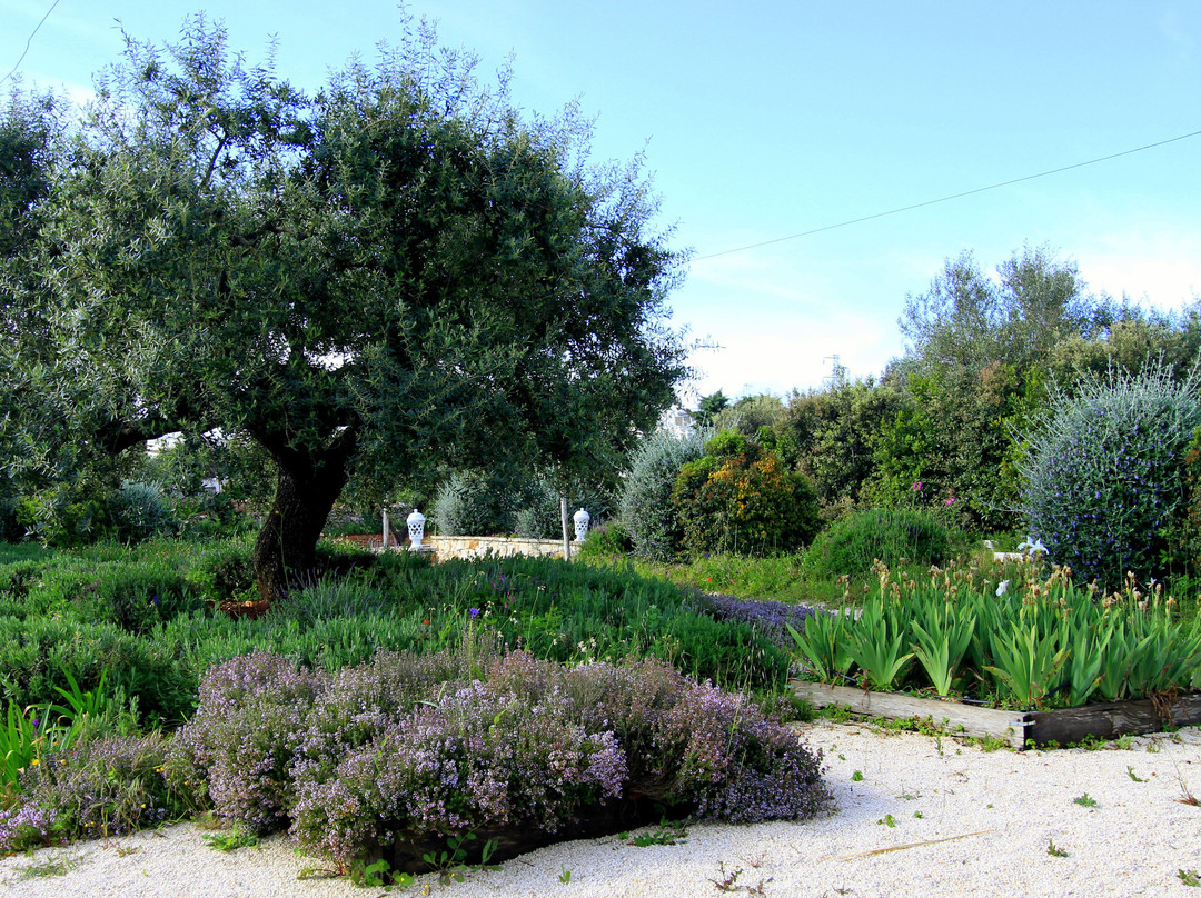 Leonardo Trulli Resort主图