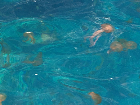 Sollermar-索列尔港必去景点