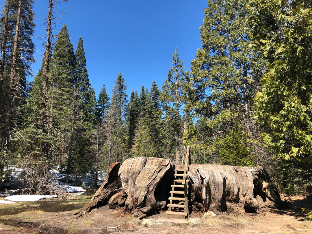 Big Stump Basin-红杉&国王峡谷国家公园必去景点