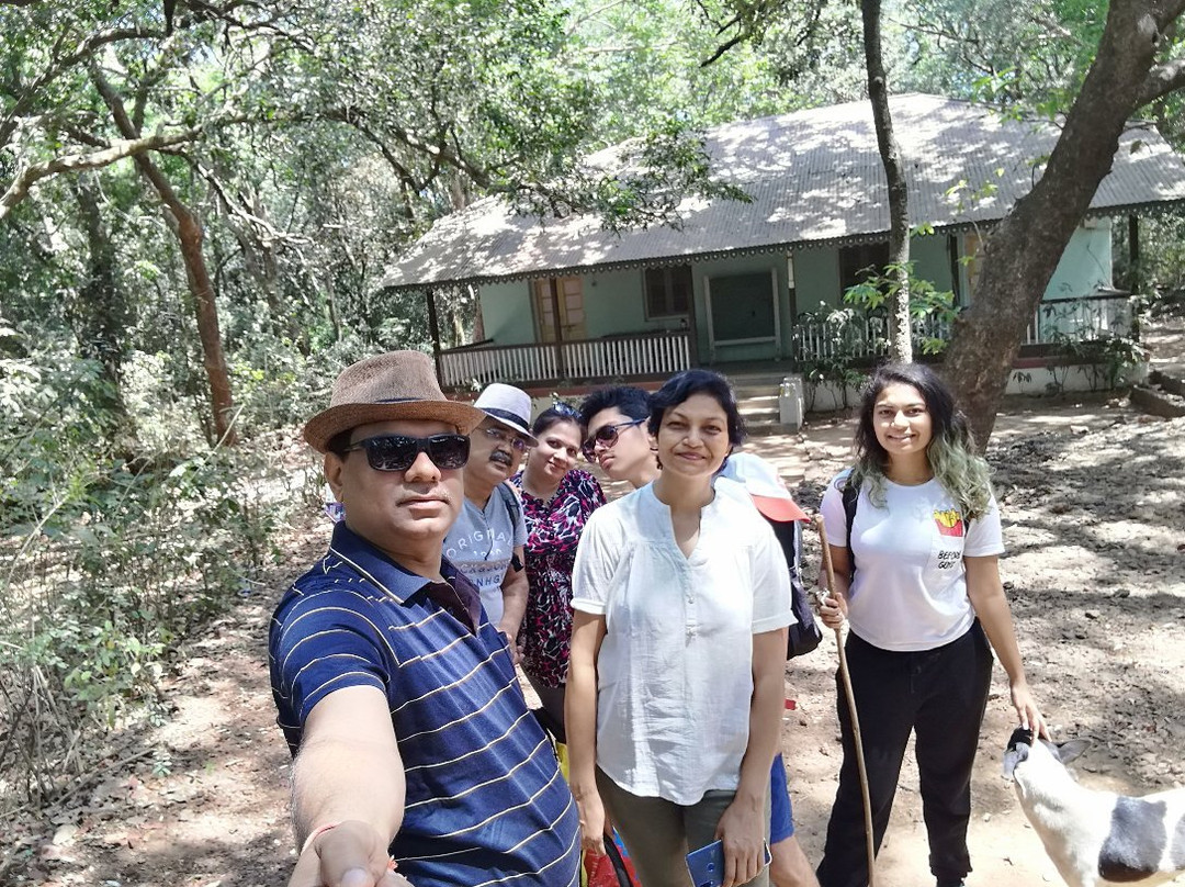 Treebo Cecil Resort主图