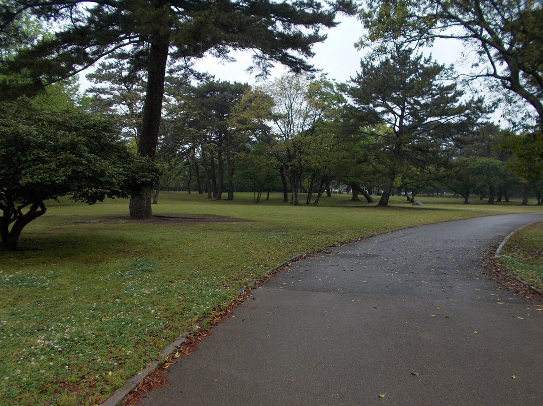 Beppu Park景点图片