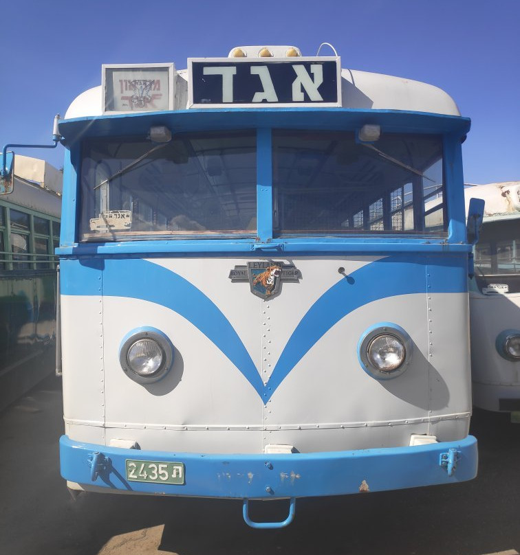 Egged Bus Museum-霍隆必去景点