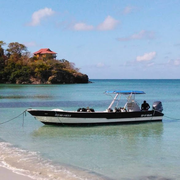 Posada Sweet Anashly主图