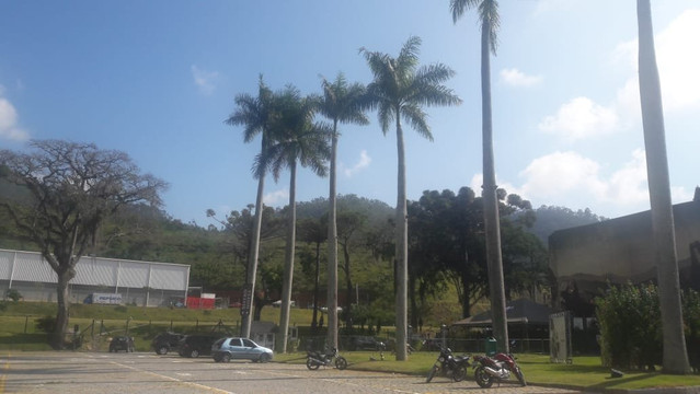 Largo Das Palmeiras Imperiais-彼得罗波利斯必去景点